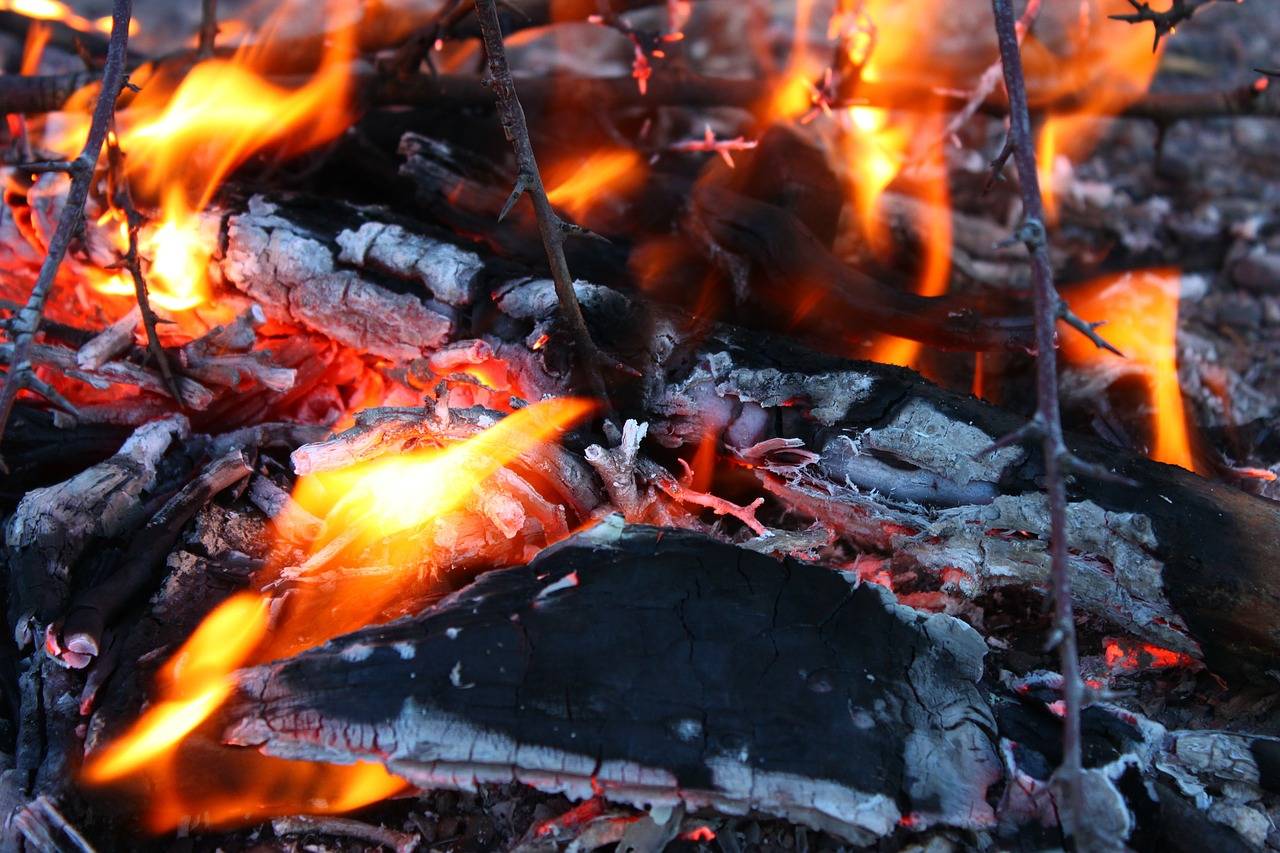 No momento, você está visualizando Lenha ou carvão? Qual é melhor para o seu churrasco?